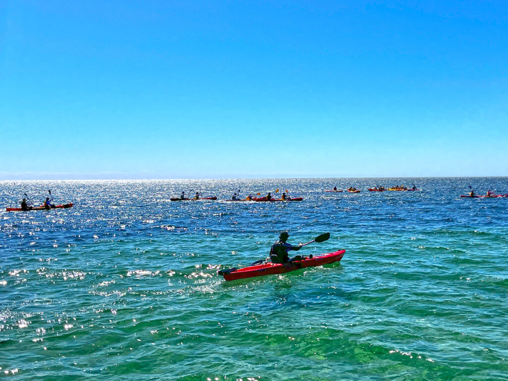 Sea Kayaking Camp